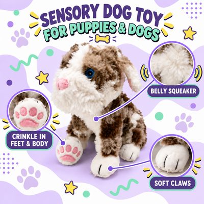 Daisy Plush Squeaky Toy